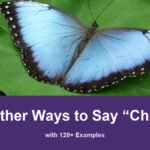 31+ Other Ways to Say “Change” (with 120+ Examples) 31+ other ways to say change, with 120+ examples; A blue butterfly rests with open wings on green leaves.