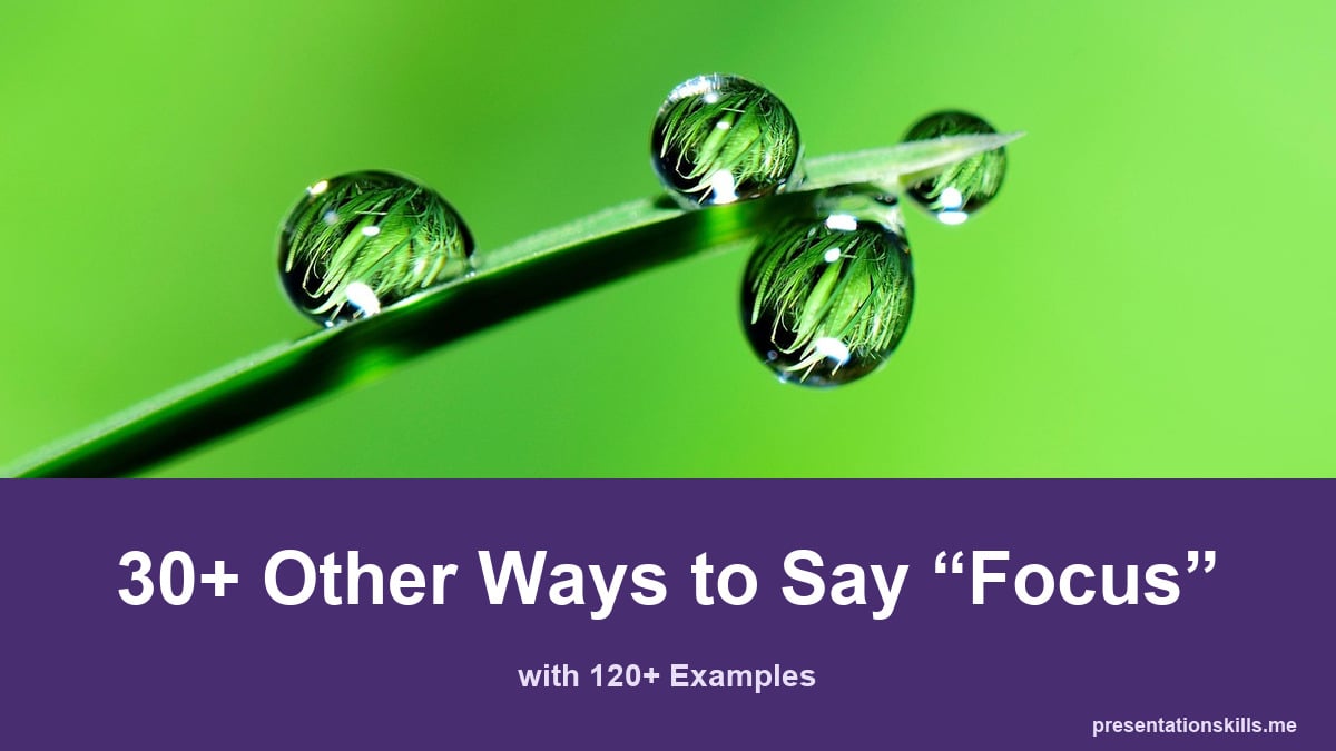 30+ other ways to say focus, with 120+ examples; Sharp droplets on a grass blade against a blurred green background.