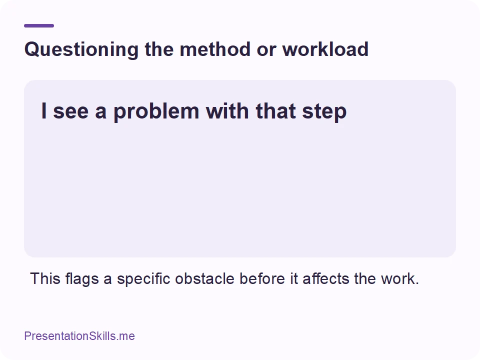Questioning the method or workload: I see a problem with that step This flags a specific obstacle before it affects the work.