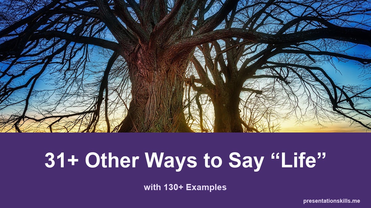 31+ other ways to say life, with 130+ examples; Large trees spread branches above roots at sunset.