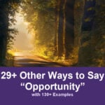 29+ Other Ways to Say “Opportunity” (with 130+ Examples) 29+ other ways to say opportunity, with 130+ examples; A forest path leads toward a bright opening.