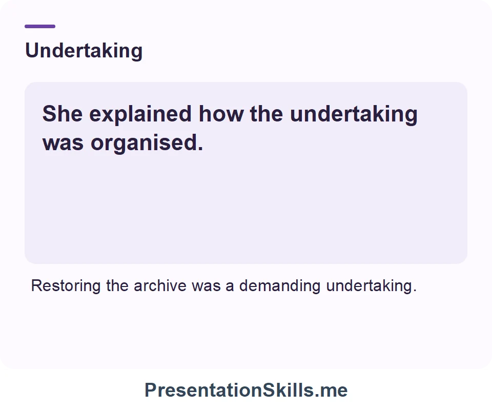 Undertaking: She explained how the undertaking was organised.