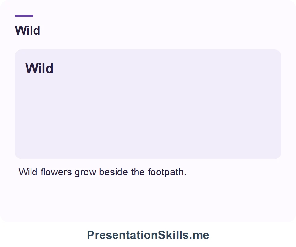 Wild: Wild flowers grow beside the footpath.