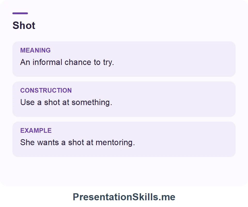 Shot: He took a shot at solving the timing problem.